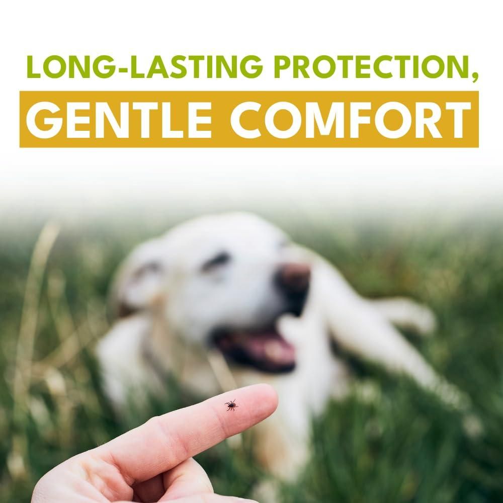 Flea & Tick Repellent Spray 100 ml (Pack of 2)